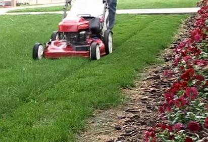 mowing